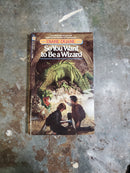 So You Want To Be A Wizard - Diane Duane