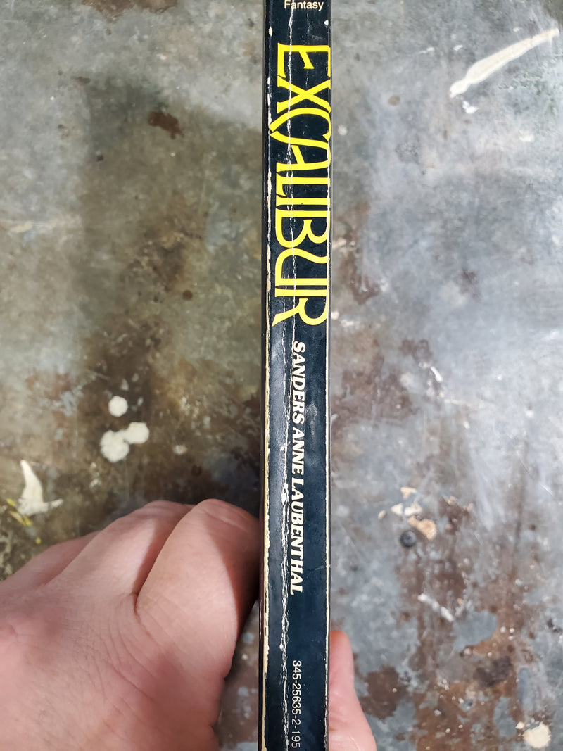 Excalibur - Sanders Anne Laubenthal