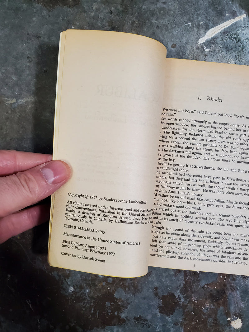 Excalibur - Sanders Anne Laubenthal