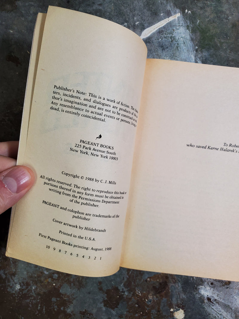 Winter World - C. J. Mills