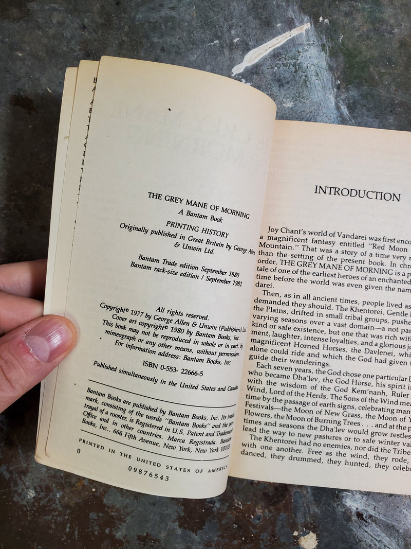 The Grey Mane Of Morning - Joy Chant