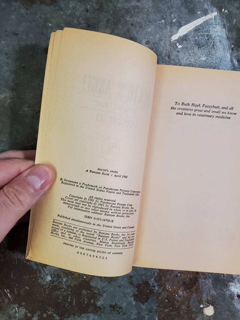 Death's Angel: A Star Trek Novel - Kathleen Sky