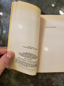 Duende Meadow - Paul Cook