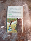 Domnei - James Branch Cabell