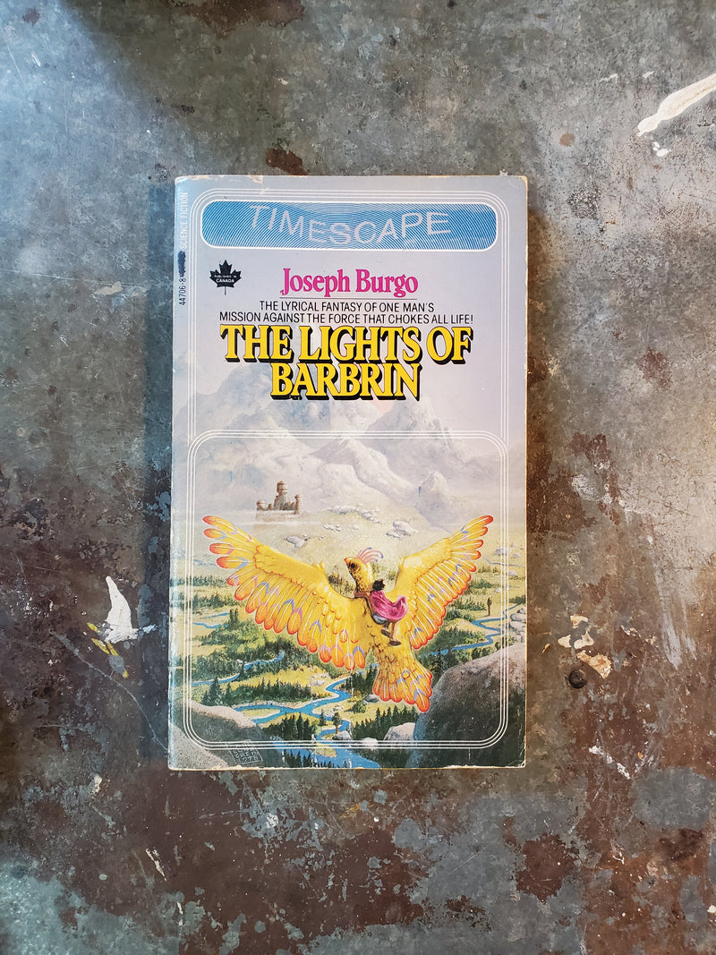 The Lights Of Barbrin - Joseph Burgo
