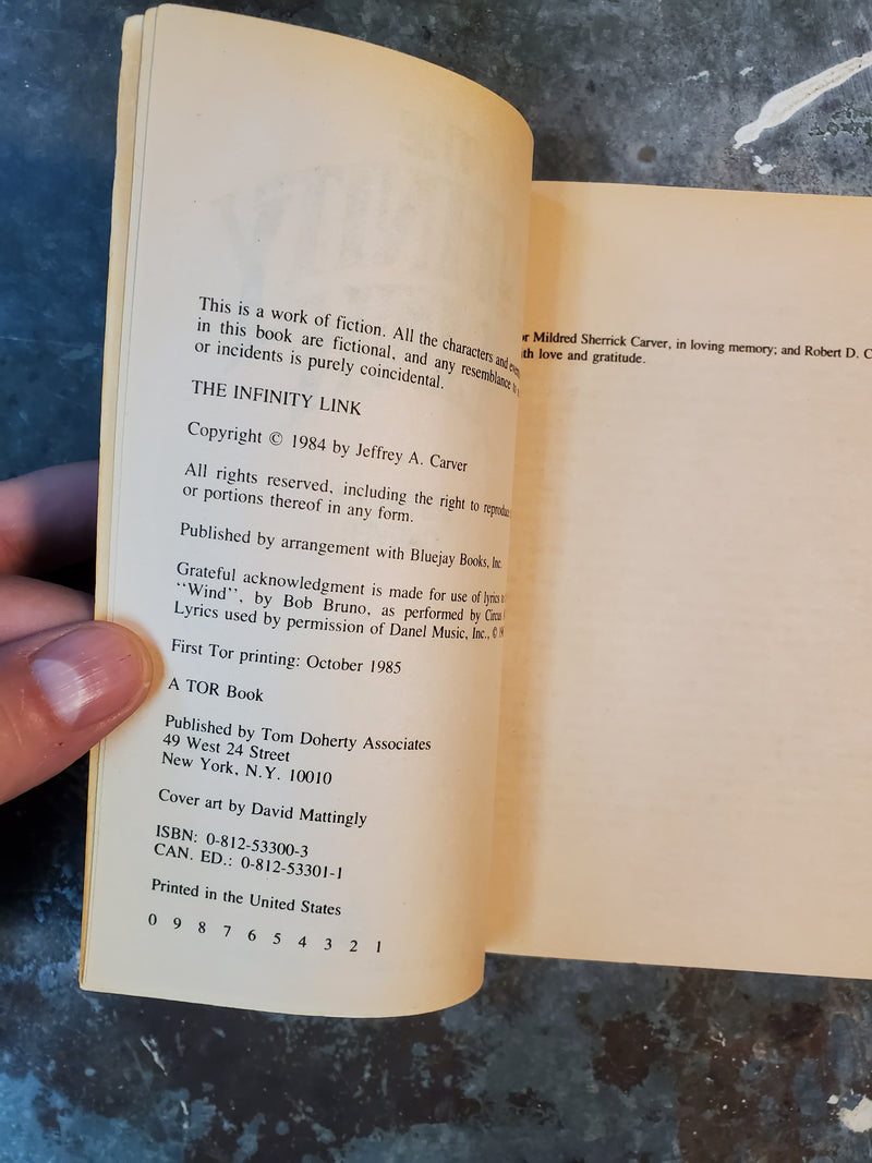 The Infinity Link - Jeffrey A. Carver