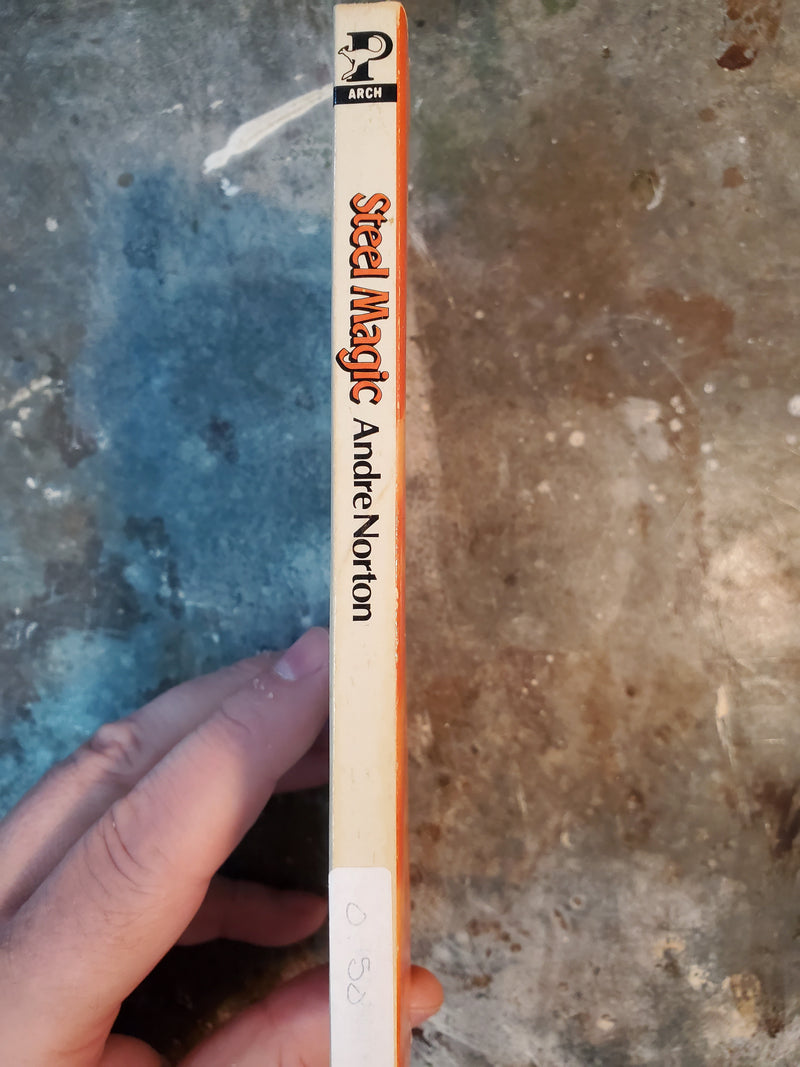 Steel Magic - Andre Norton