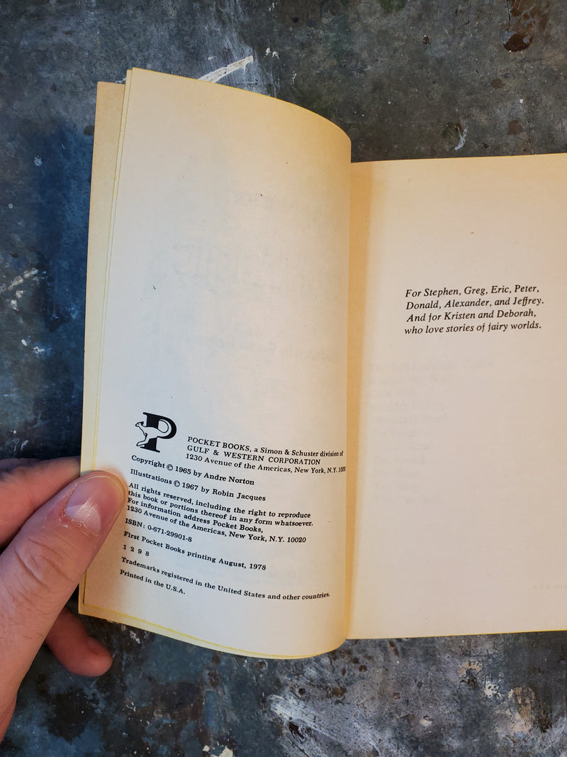 Steel Magic - Andre Norton