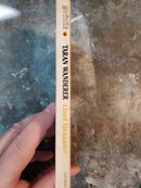 Taran Wanderer - Lloyd Alexander
