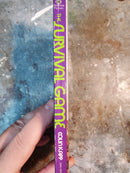 The Survival Game - Colin Kapp