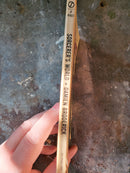 Sorcerer's World - Damien Broderick