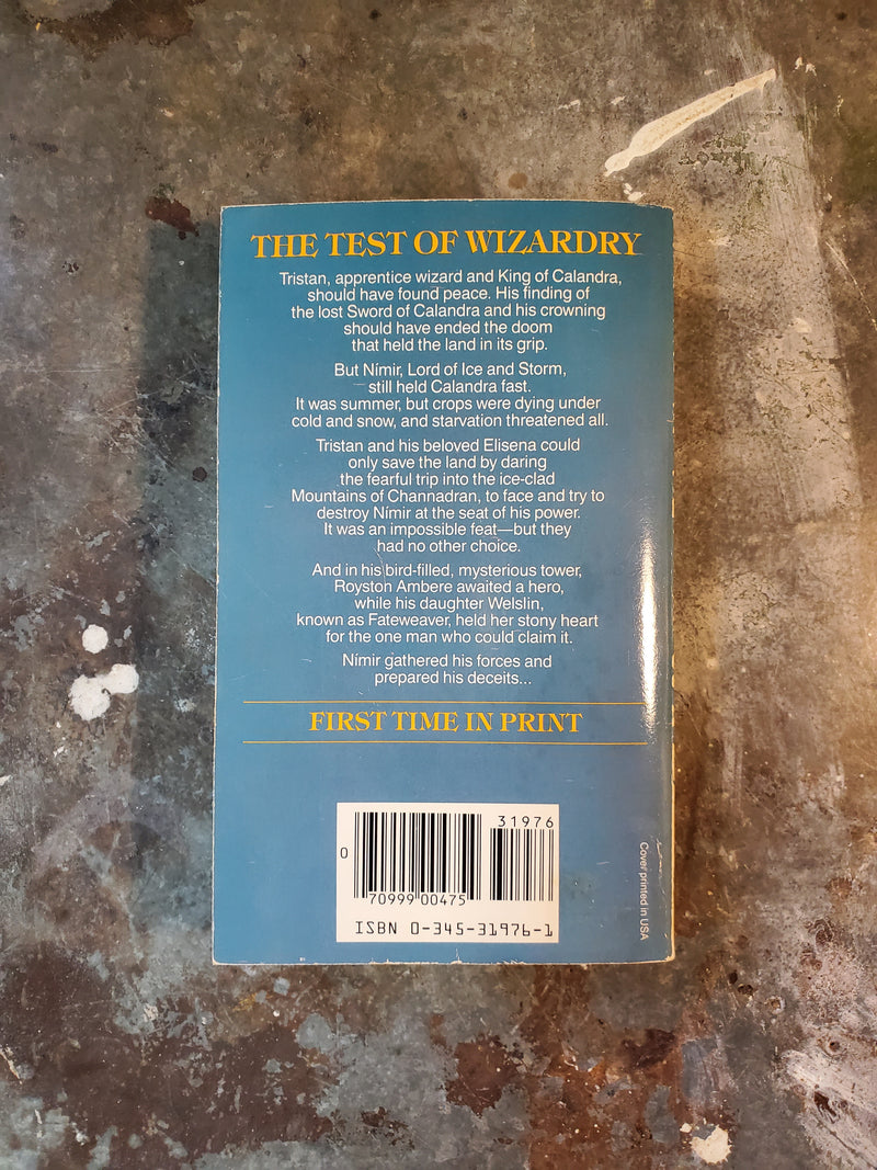 The Mountains Of Channadran: The Winter King's War Book III - Susan Dexter