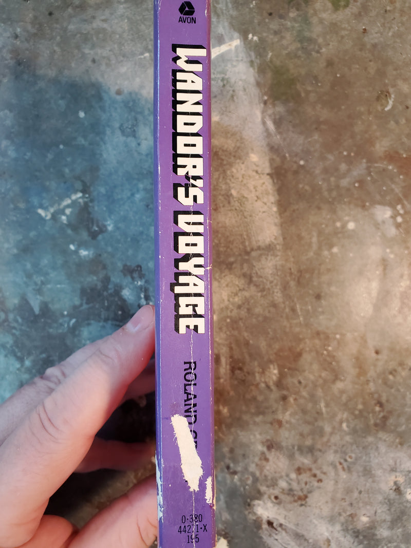 Wandor's Voyage - Roland Green