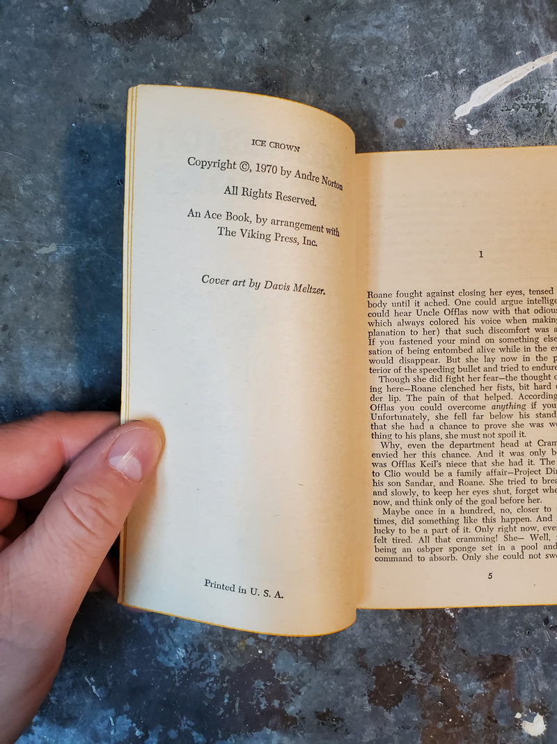 Ice Crown - Andre Norton