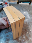 His Lemmus: A Time Trilogy (set only) - Julian Jay Savarin