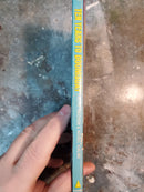 Ten Years To Doomsday - Chester Anderson & Michael Kurland