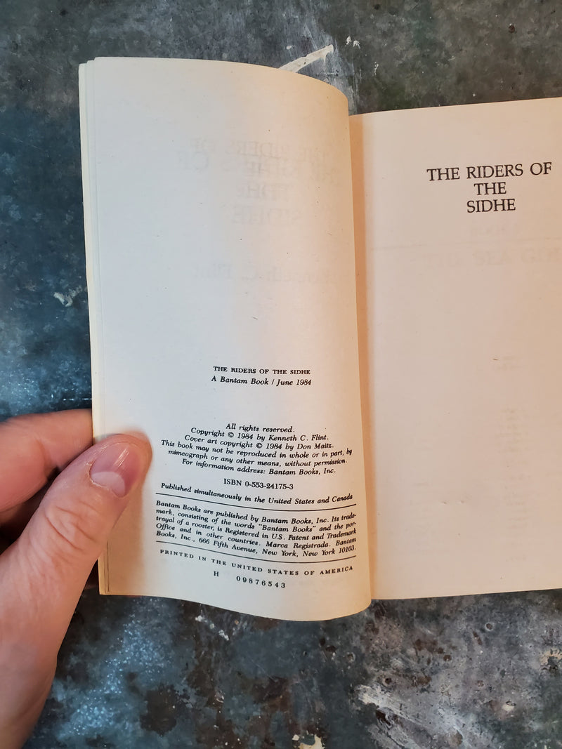 The Riders Of The Sidhe - Kenneth C. Flint