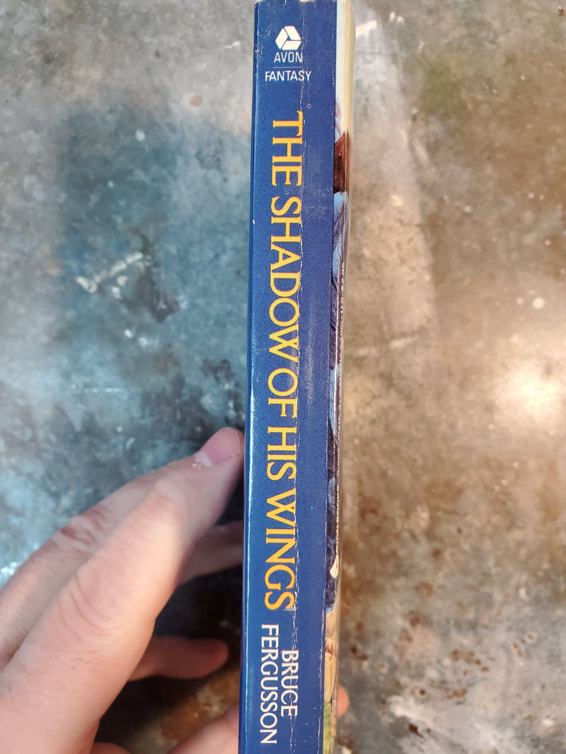 The Shadow Of His Wings - Bruce Fergusson