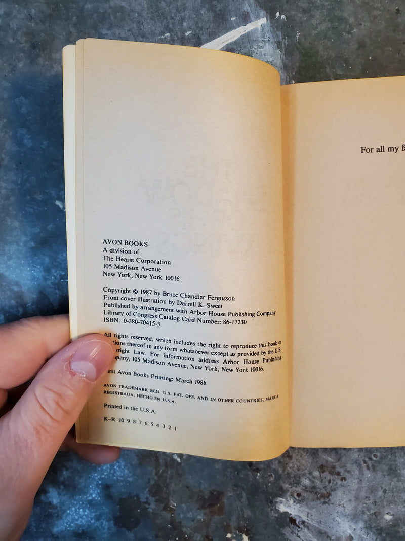 The Shadow Of His Wings - Bruce Fergusson