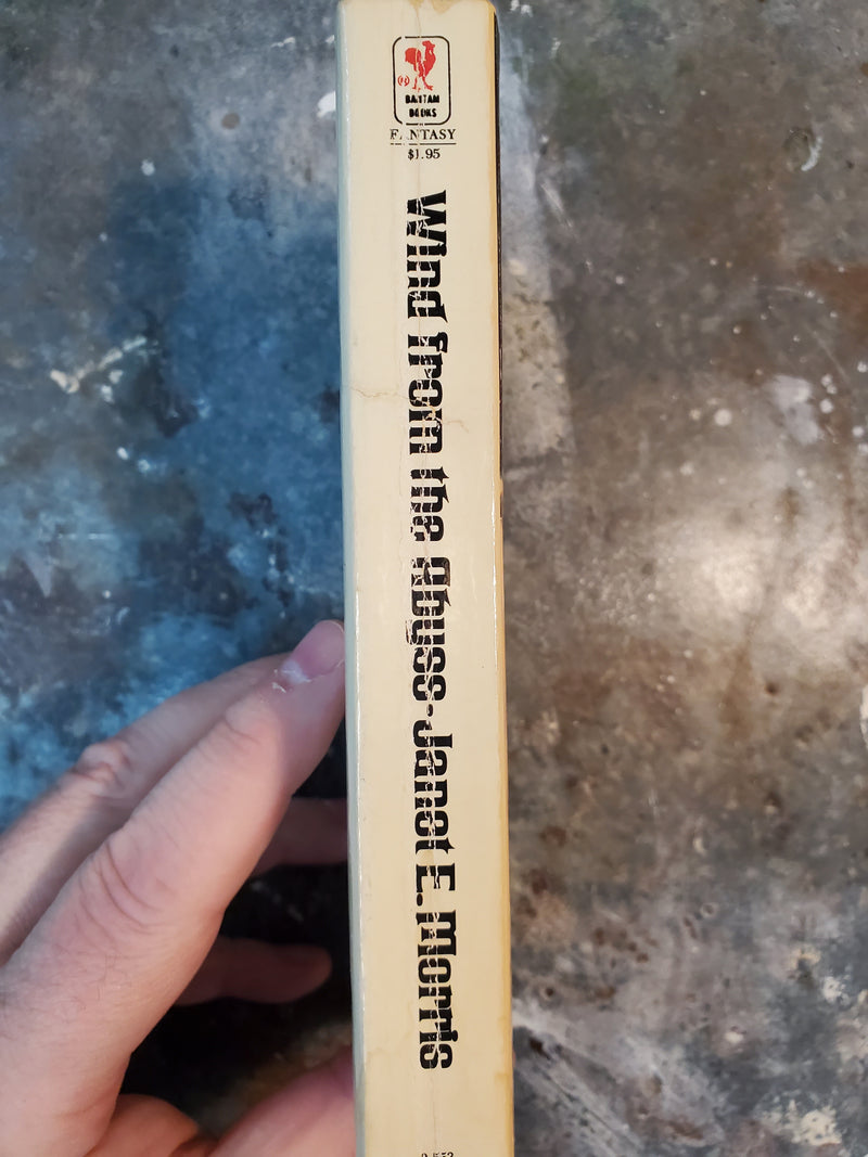 Wind From The Abyss - Janet E. Morris