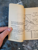 Flare Star - Paula E. Downing