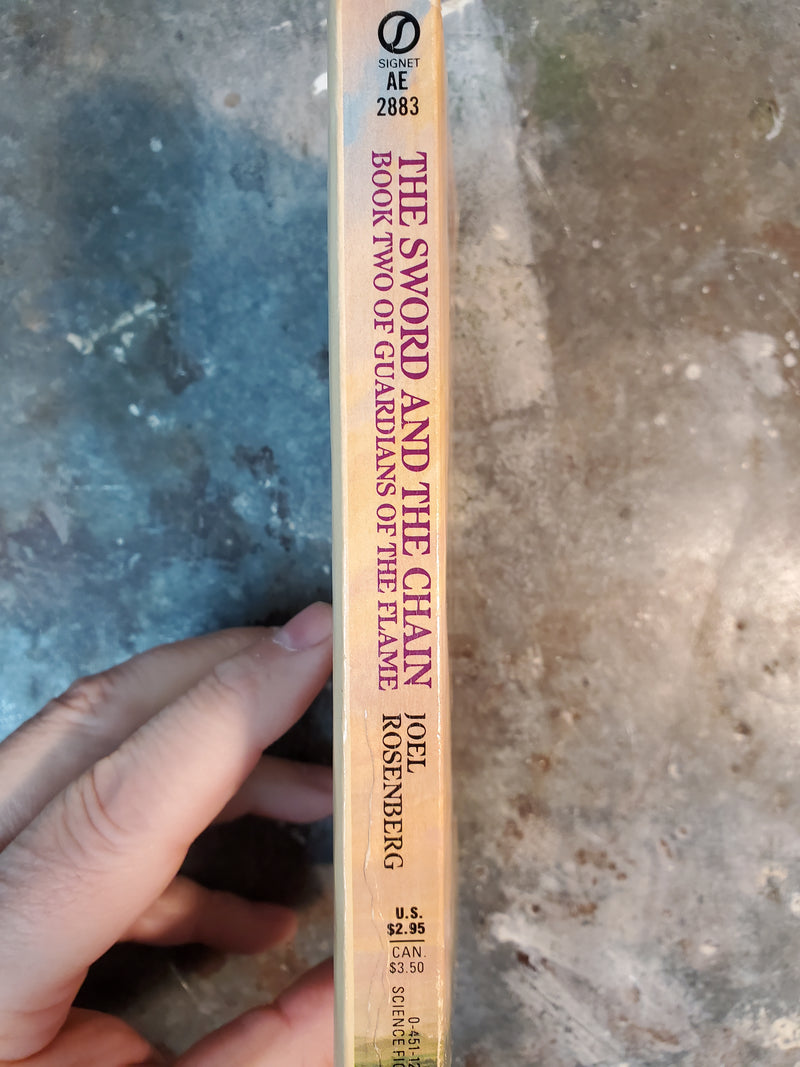 Guardians Of The Flame Book Two: The Sword And The Chain - Joel Rosenberg