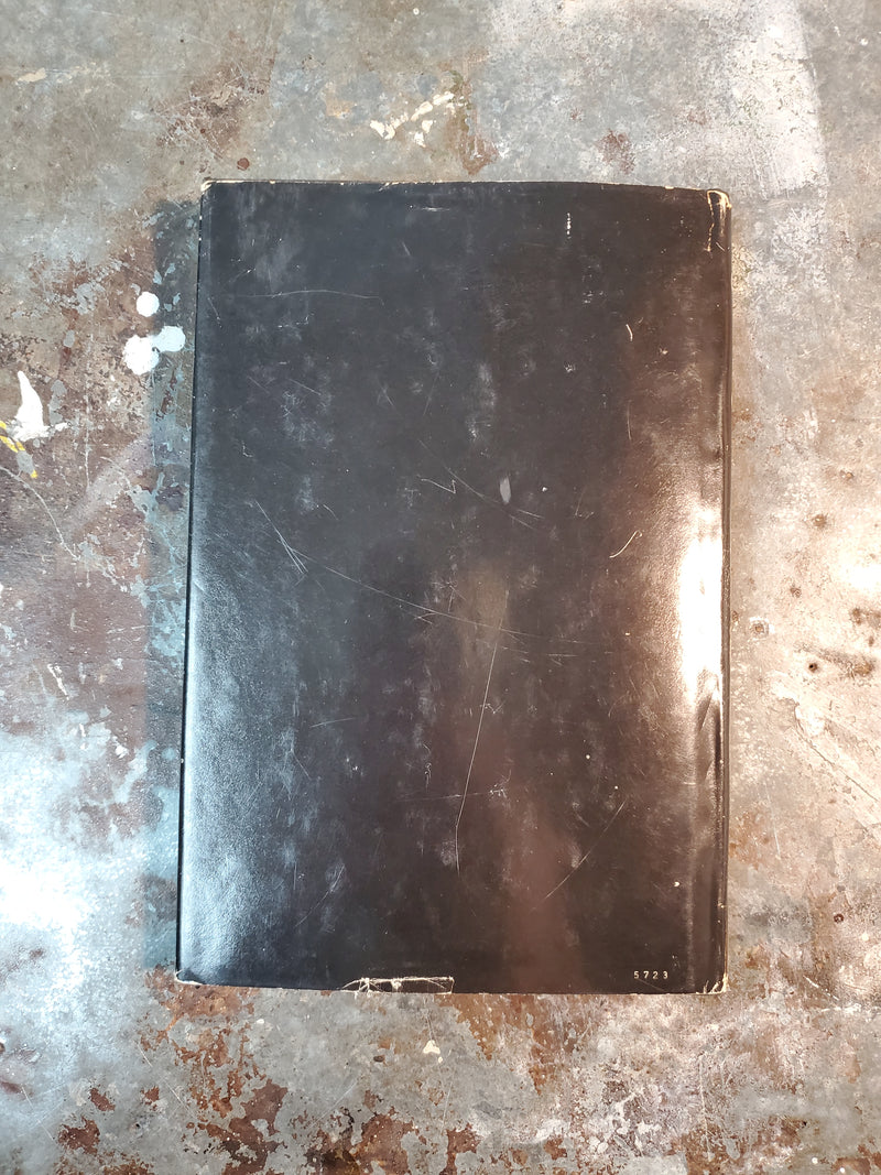 Dragonslayer - Wayland Drew