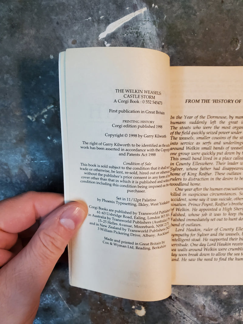The Welkin Weasels The Second: Castle Storm - Garry Kilworth