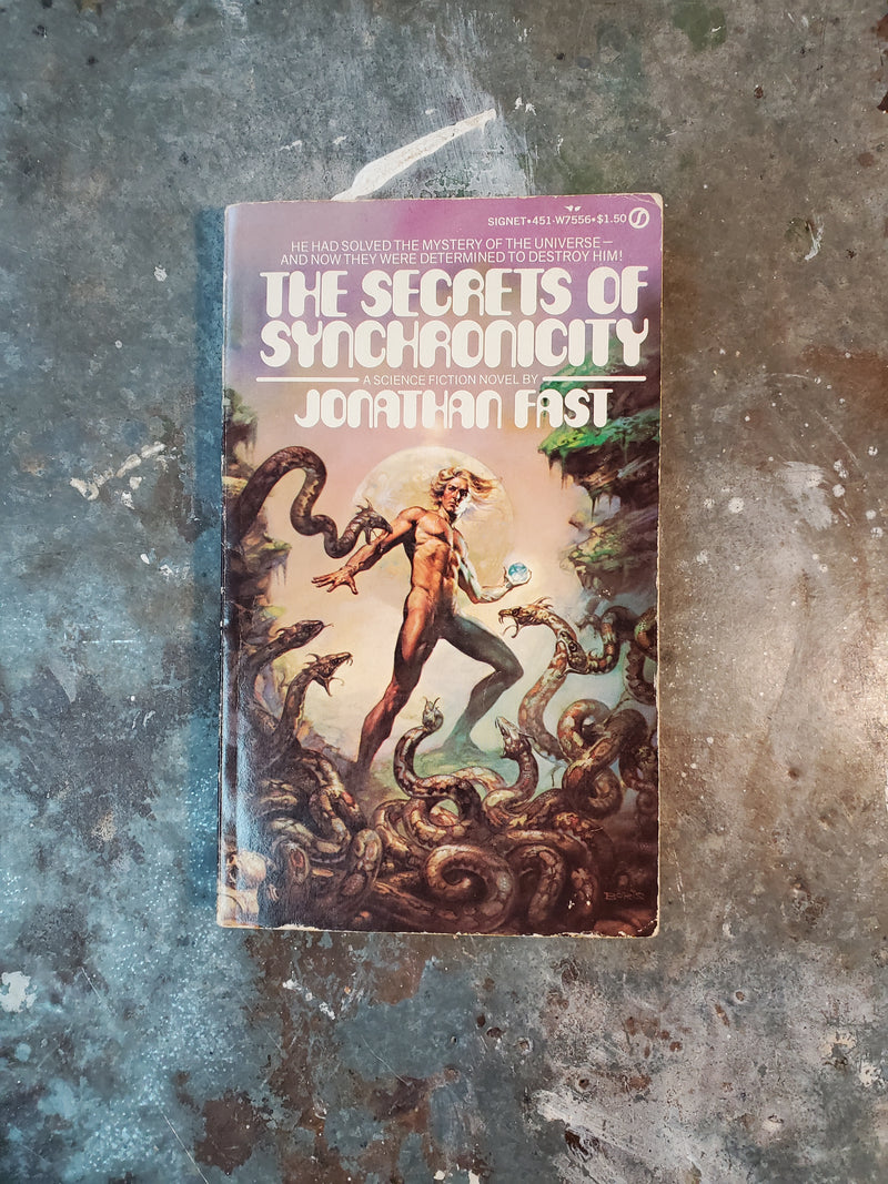 The Secrets Of Synchronicity - Jonathan Fast