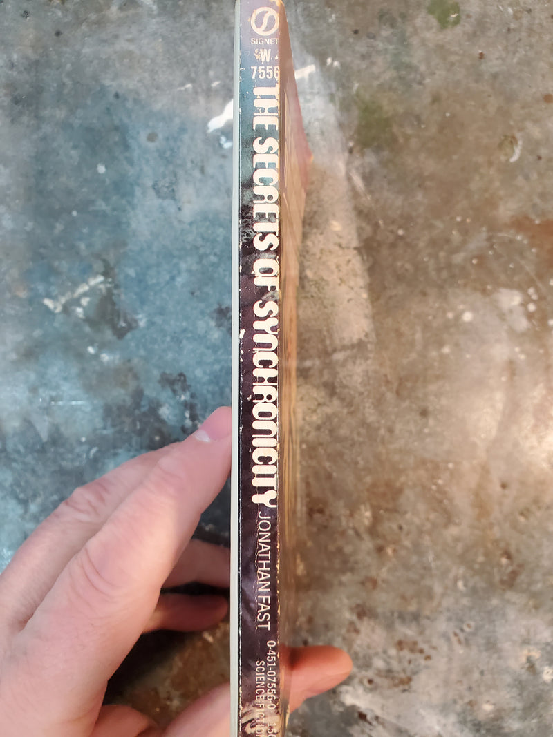 The Secrets Of Synchronicity - Jonathan Fast