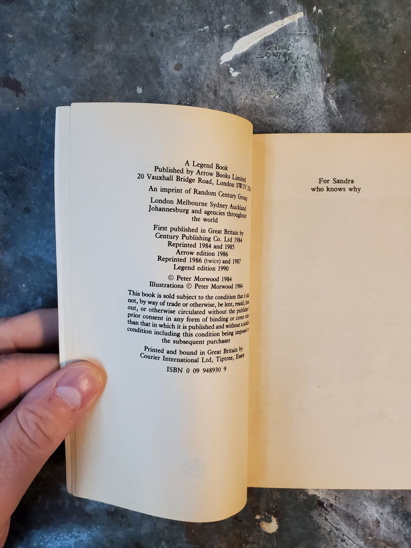 The Demon Lord - Peter Morwood