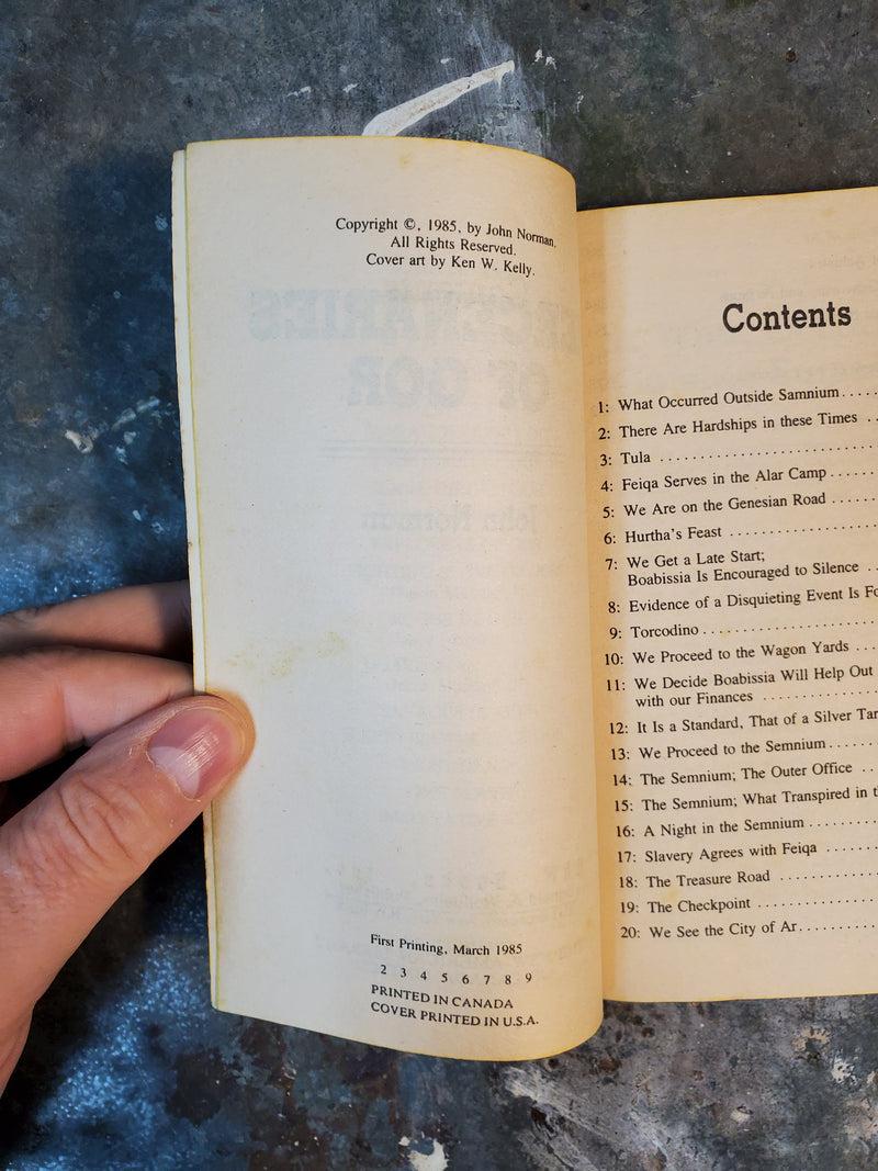 Mercenaries Of Gor - John Norman