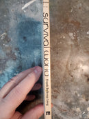 Survival World - Frank Belknap Long