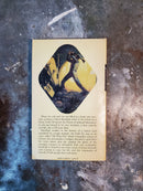 Star Gods - Jack Lovejoy