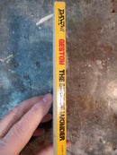 The Siege Of Wonder - Mark S. Geston