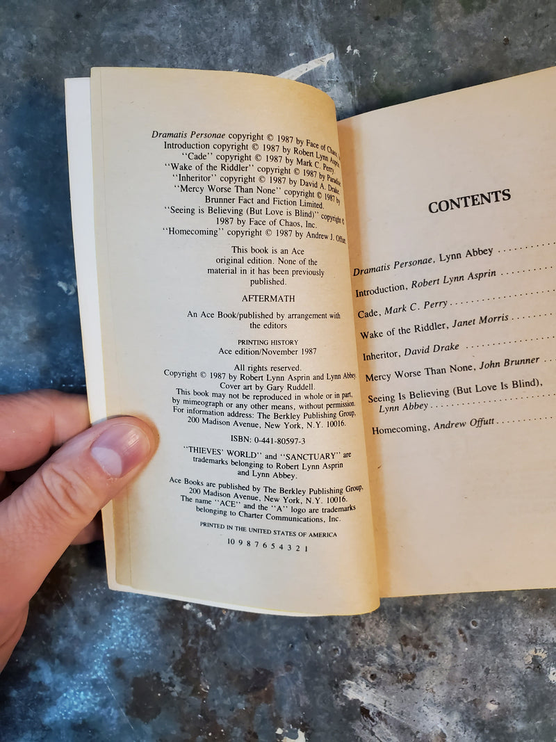 Thieves' World Book 10: Aftermath - Robert Lynn Asprin & Lynn Abbey (editors)