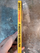 A Wizard In Bedlam - Christopher Stasheff