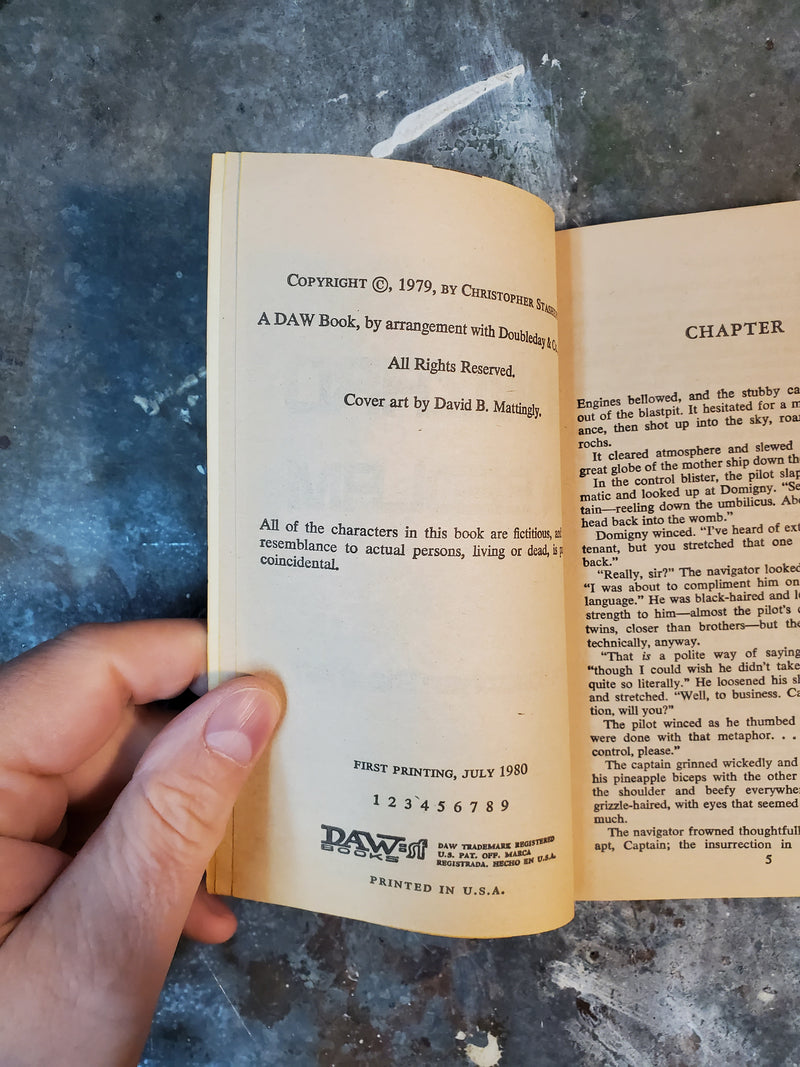 A Wizard In Bedlam - Christopher Stasheff