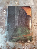 The Year's Best Fantasy Stories 13 - Arthur W. Saha (editor)