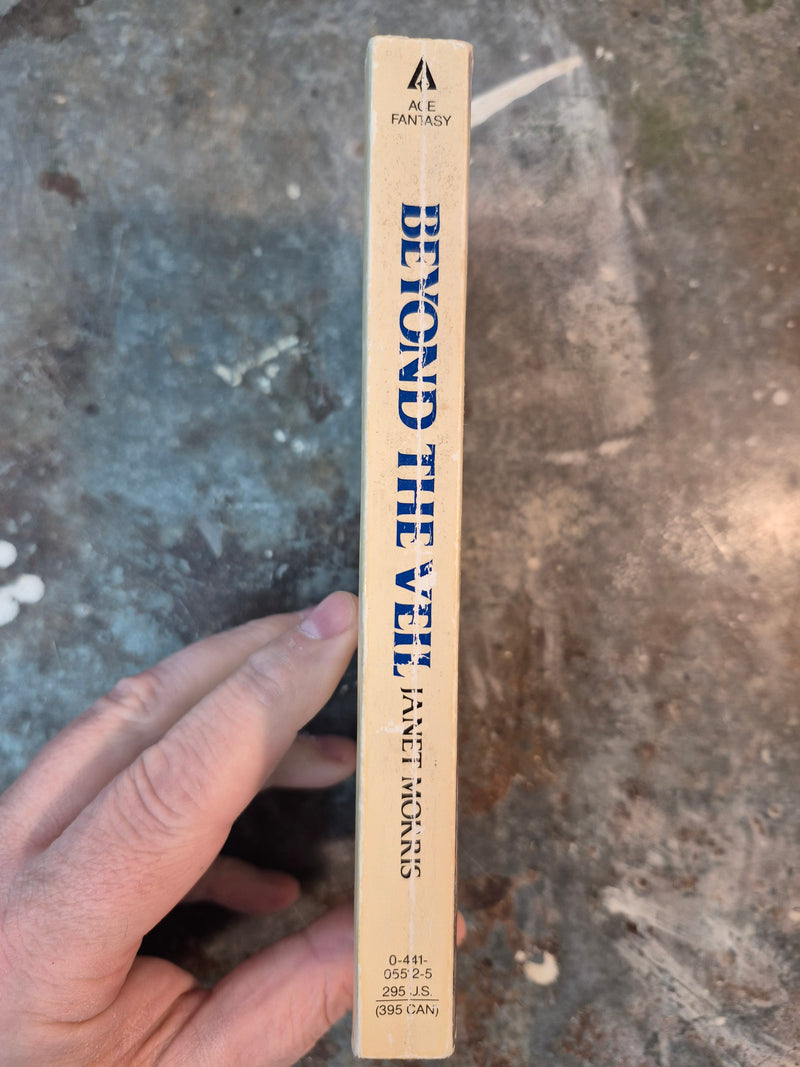 Thieves' World: Beyond The Veil - Janet Morris