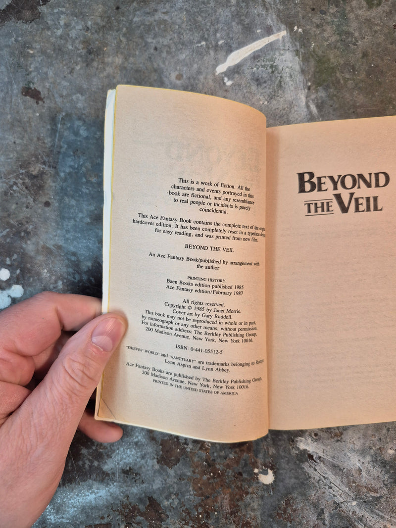 Thieves' World: Beyond The Veil - Janet Morris