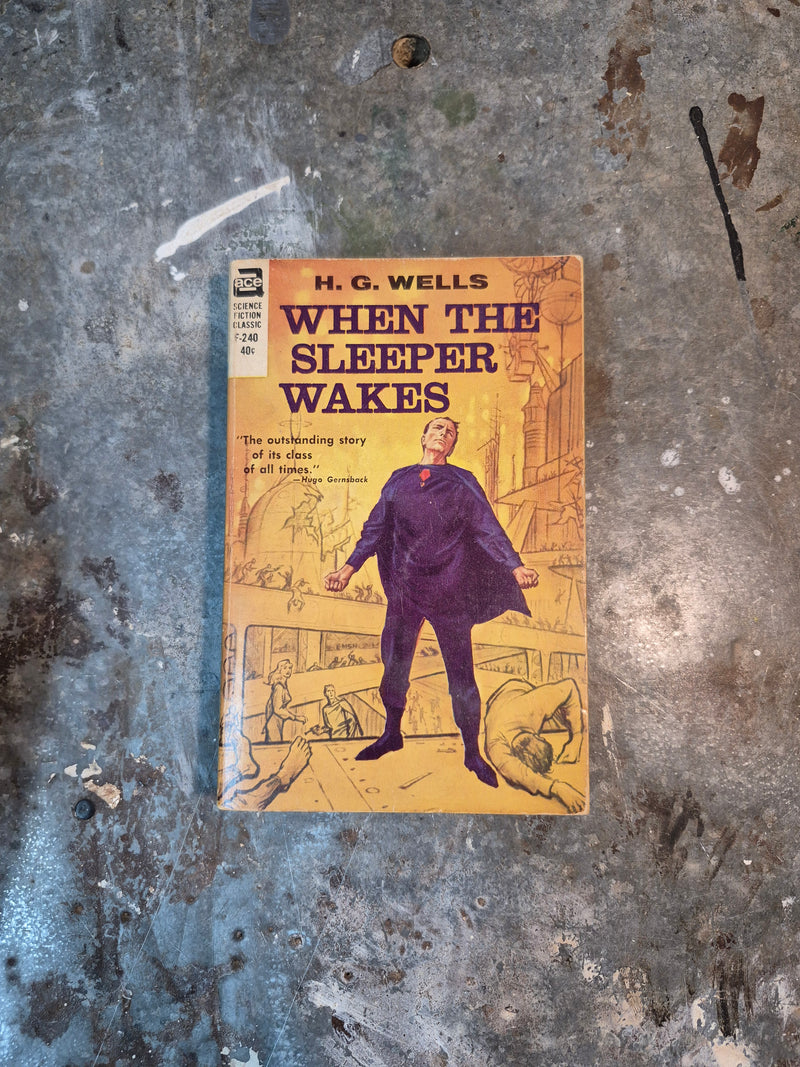 When The Sleeper Wakes - H. G. Wells