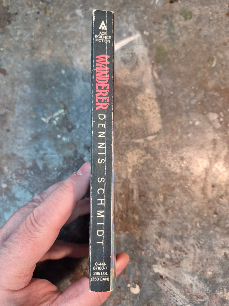 Wanderer - Dennis Schmidt