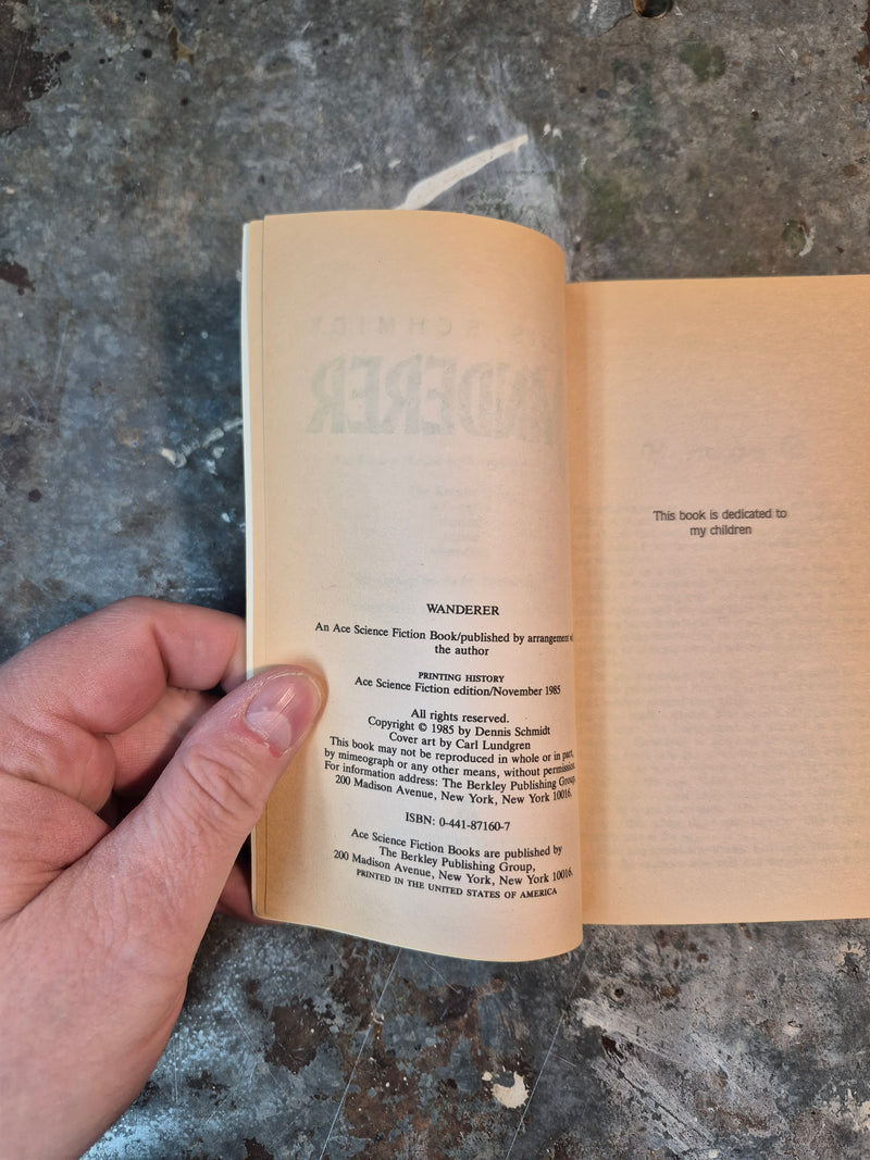 Wanderer - Dennis Schmidt