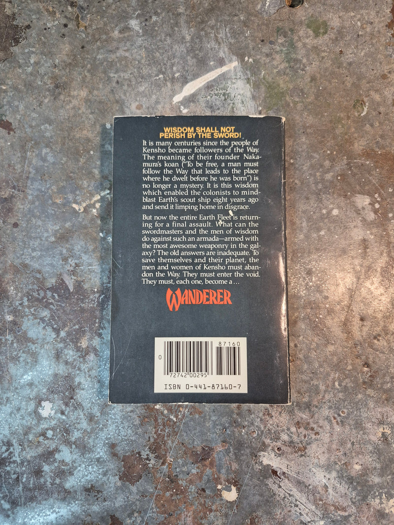 Wanderer - Dennis Schmidt