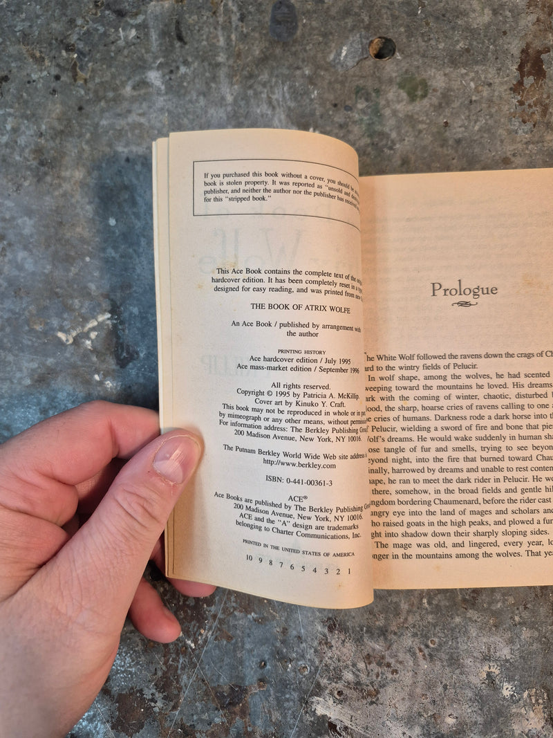 The Book Of Atrix Wolfe - Patricia A. McKillip