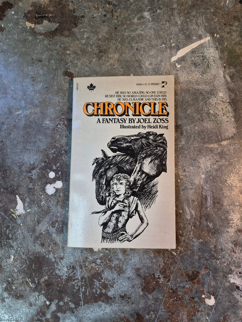 Chronicle - Joel Zoss