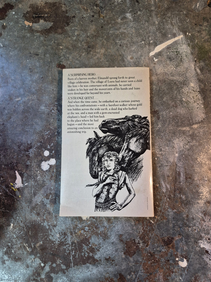 Chronicle - Joel Zoss