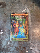 Ten Little Wizards - Michael Kurland