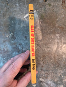 Saga Of Lost Earths - Emil Petaja